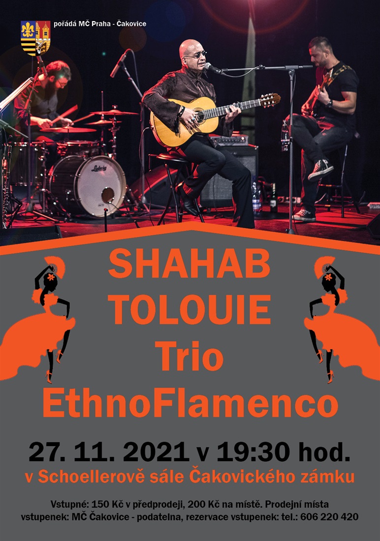 Koncert
