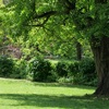 park