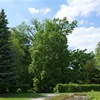 park