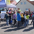 Den IZS