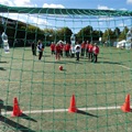 senioráda
