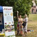 zámek fest