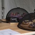 zámek fest