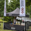 zámek fest